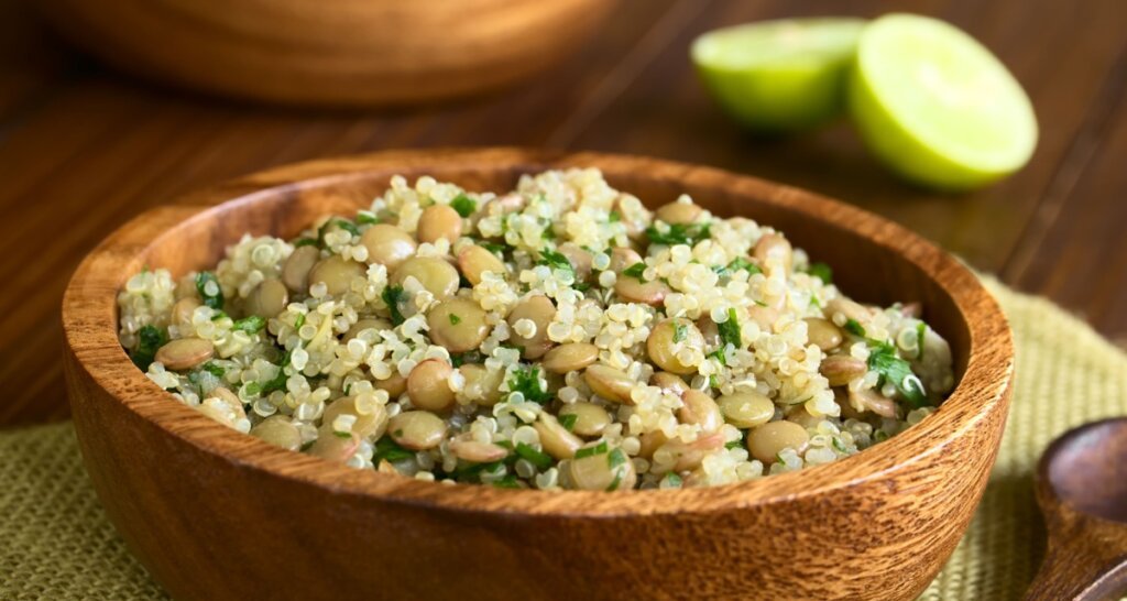 Receitas de proteína vegetal: 5 opções práticas para o almoço - Imagem do artigo