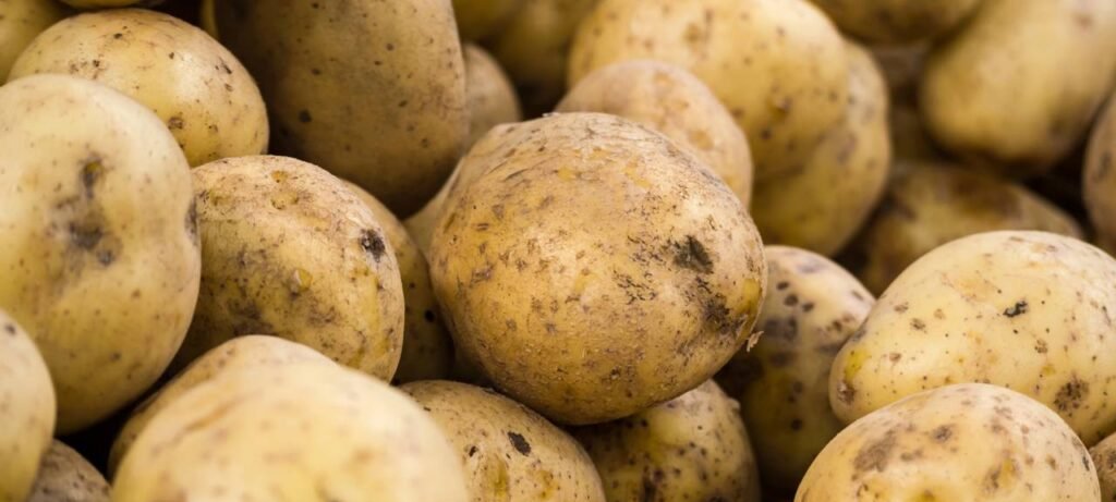 Salgado de batata: lanche de 4 ingredientes irresistível - Imagem do artigo