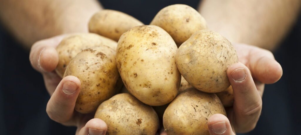 Sanduíche de batata: opção crocante que substitui o pão - Imagem do artigo